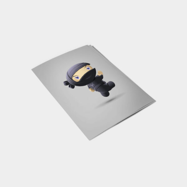 Flying Ninja – Image 4